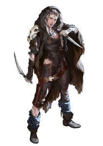 Degenesis, borca4