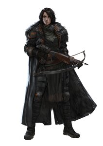 Degenesis, franka1