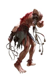 Degenesis, purgare3