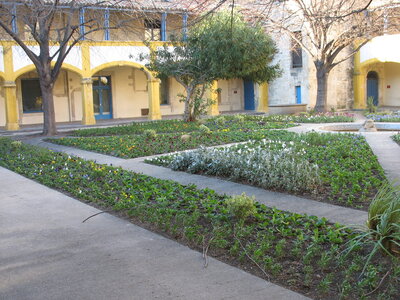 AIGUES MORTES - ARLES - FONTVIEILLE - ESTABLON - MONTMAJOUR , 36  ARLES