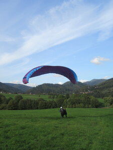 Grand Vol Breitenau 8 octobre, IMG_5341