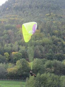 Grand Vol Breitenau 8 octobre, IMG_5315