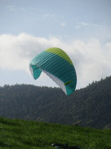 Grand Vol Breitenau 8 octobre, IMG_5293