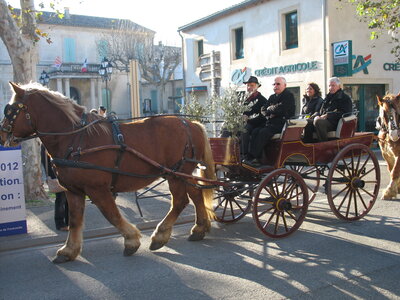 AIGUES MORTES - ARLES - FONTVIEILLE - ESTABLON - MONTMAJOUR , 62  FONTVIEILLE