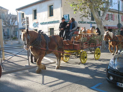 AIGUES MORTES - ARLES - FONTVIEILLE - ESTABLON - MONTMAJOUR , 63  FONTVIEILLE