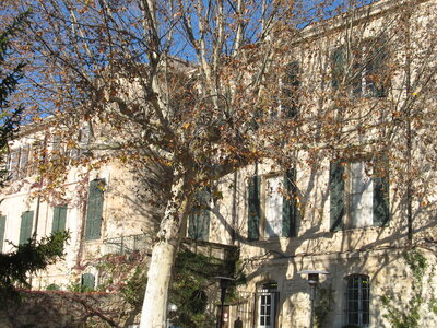 AIGUES MORTES - ARLES - FONTVIEILLE - ESTABLON - MONTMAJOUR , 82  ESTOUBLON