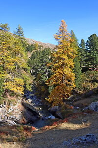 Pointe de Rochachille et Lac Biron, Pointe de Rochachille 048