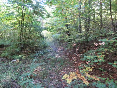 Boucle du Laus, IMG_9352