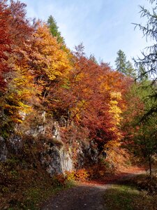 Lacs Malcros, sans titre-13102022-_1056371