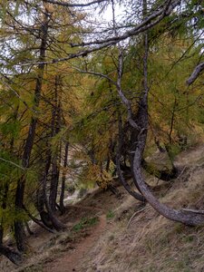 Lacs Malcros, sans titre-13102022-_1056427