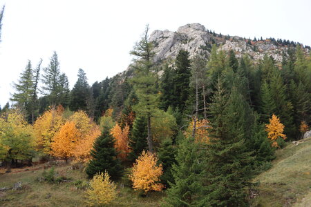 La Pointe Feuillette, Pointe Feuillette 007
