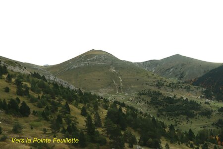 La Pointe Feuillette, Pointe Feuillette 009