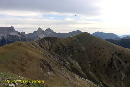 La Pointe Feuillette, Pointe Feuillette 030