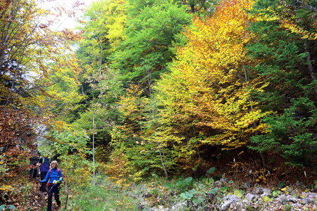 La Pointe Feuillette, Pointe Feuillette 047