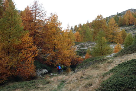 Lac de Lestang, Circuit du Lac de Lestand 001  13 
