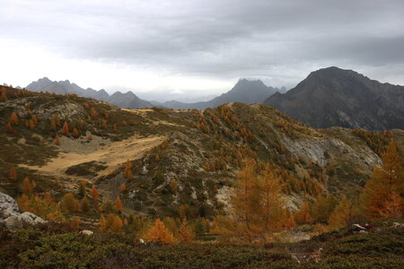 Lac de Lestang, Circuit du Lac de Lestand 001  18 