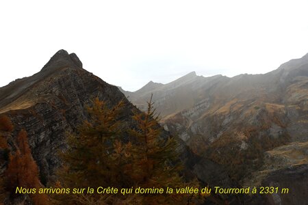 Lac de Lestang, Circuit du Lac de Lestand 001  20 
