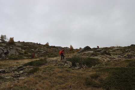 Lac de Lestang, Circuit du Lac de Lestand 001  28 