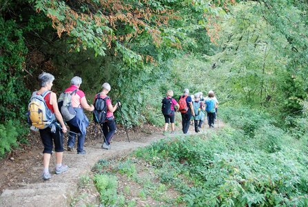 Séjour Italien du 11 au 15 Octobre 2022 (12 participants), DSC_0292