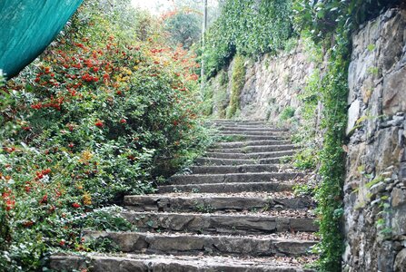 Séjour Italien du 11 au 15 Octobre 2022 (12 participants), DSC_0305
