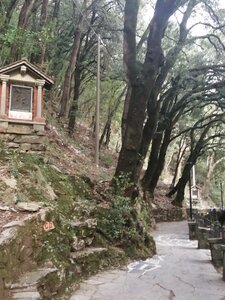 Séjour Italien du 11 au 15 Octobre 2022 (12 participants), IMG_20221012_173527