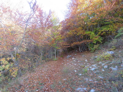 Boucle du Mont Devès, IMG_9390