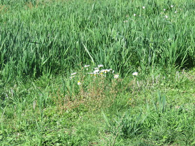 Boucle du Mont Devès, IMG_9396