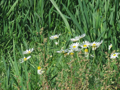 Boucle du Mont Devès, IMG_9397
