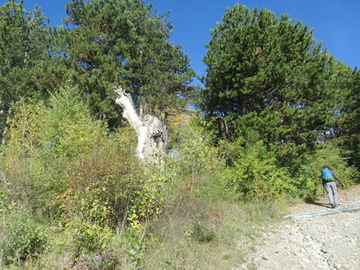 Boucle du Mont Devès, IMG_9403
