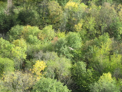 Jeudi 27 octobre, IMG_5482