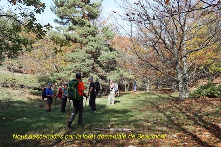 Rocher de Beaumont, Le Rocher de Baumont 028