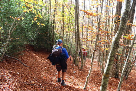 Rocher de Beaumont, Le Rocher de Baumont 029
