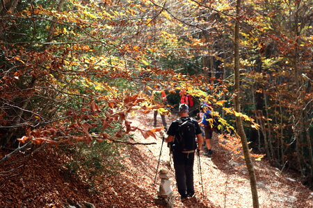 Rocher de Beaumont, Le Rocher de Baumont 030