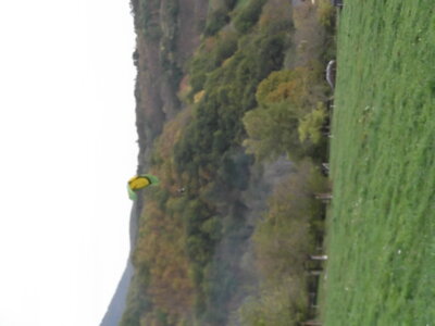 Samedi 29 octobre Breitenbach, DSCF7059