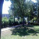 La bambouseraie - Anduze, 06072010073