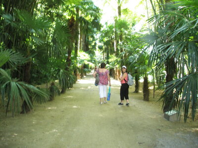 La bambouseraie - Anduze, P8290096