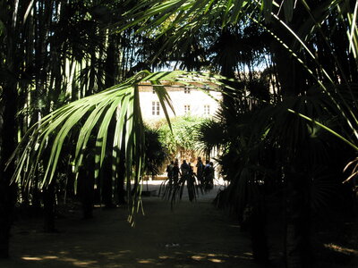 La bambouseraie - Anduze, P8290099
