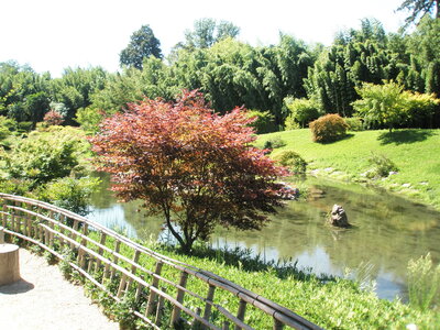 La bambouseraie - Anduze, P8290113