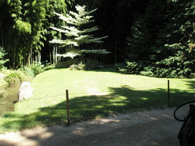 La bambouseraie - Anduze, P8290119