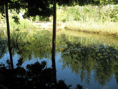 La bambouseraie - Anduze, P8290140