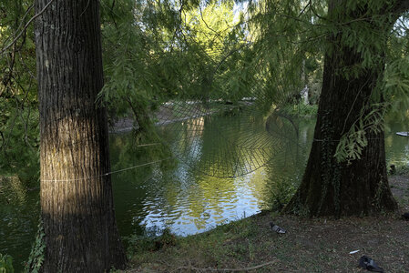 Fabien Magigue 2022, Jardin public, Bordeaux