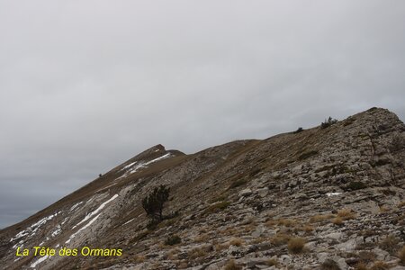Tête des Ormans, La Tête des Ormans 019