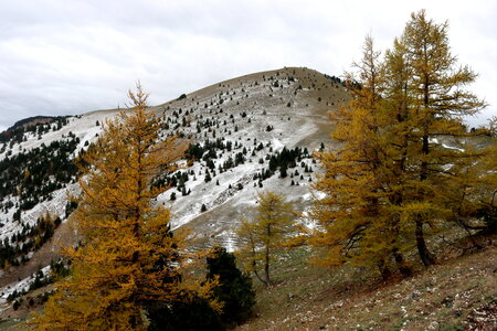 Tête des Ormans, La Tête des Ormans 029