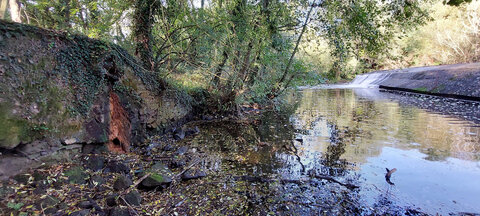 Ancienne mine d'uranium de l'Ecarpière - Rencontres 2022 du Collectif Mines d'Uranium, ecarpiere_rejet_gaudu