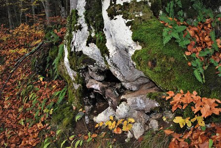 Entrepierre-Tour du lac de Roaffan le 10 novembre 2022, DSC_0010