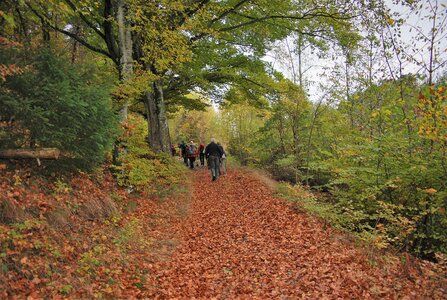 Entrepierre-Tour du lac de Roaffan le 10 novembre 2022, DSC_0012