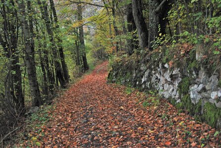 Entrepierre-Tour du lac de Roaffan le 10 novembre 2022, DSC_0015