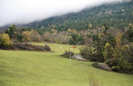 Entrepierre-Tour du lac de Roaffan le 10 novembre 2022, DSC_0051