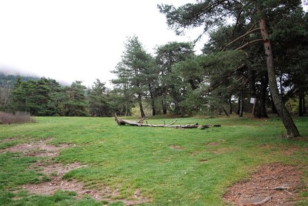 Entrepierre-Tour du lac de Roaffan le 10 novembre 2022, DSC_0065