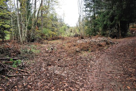 Entrepierre-Tour du lac de Roaffan le 10 novembre 2022, DSC_0076